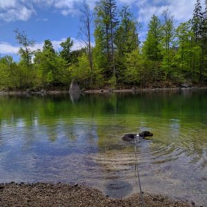 IMG_20190510_143422