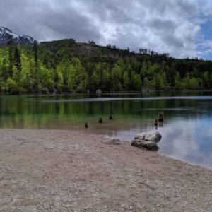 IMG_20190510_143518