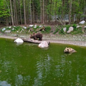 IMG_20190511_111546
