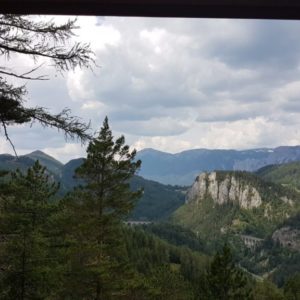 20190719_121332