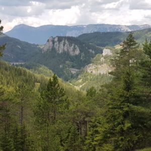 20190719_121541