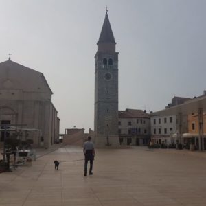 20191028_103559