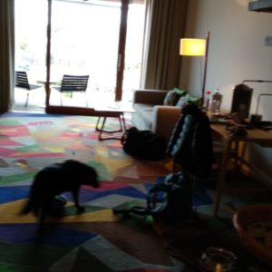 IMG_20190314_151717