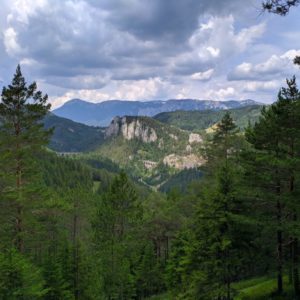 IMG_20190719_121352
