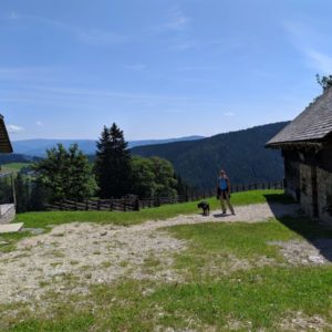 IMG_20190720_105557