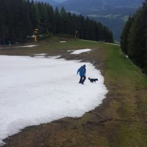 20190608_131047