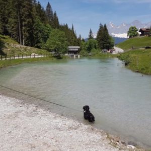 20190609_122645