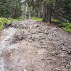 20190820_104518