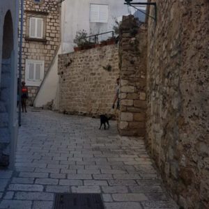 20190913_172854
