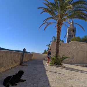 IMG_20190913_171639