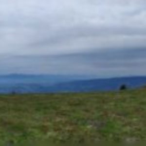 PANO_20200523_094829.vr