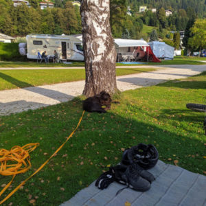 IMG_20200920_091230
