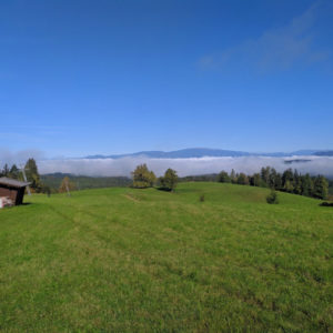 IMG_20201009_104446